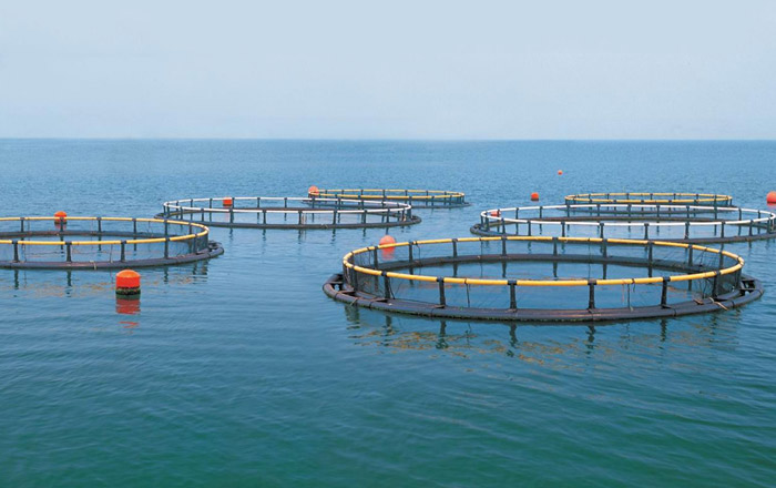 穩定供應優勢 穩定供應優勢