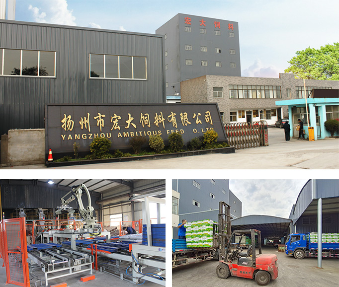 飼料高效 飼料高效